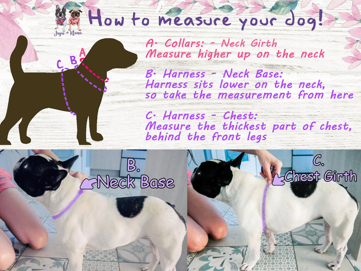 Purple rose flower dog harness leash set/ girl floral dog harness vest/ custom female dog harness and lead/ small puppy medium dog harness