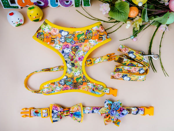 Easter dog harness set - Colorful Eggs