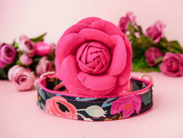 dog collar with Flower - Rosa black