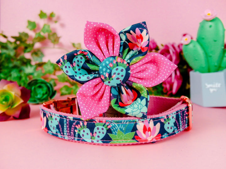 Dog collar with flower - Cactus, Succulent and flowers