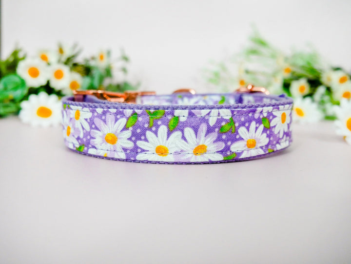 Purple daisy flower dog collar/ Girl floral dog collar/ Personalized Laser Engraved Dog Collar/ female dog collar/ small large dog collar