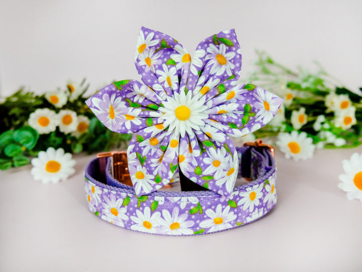Purple daisy dog collar with flower