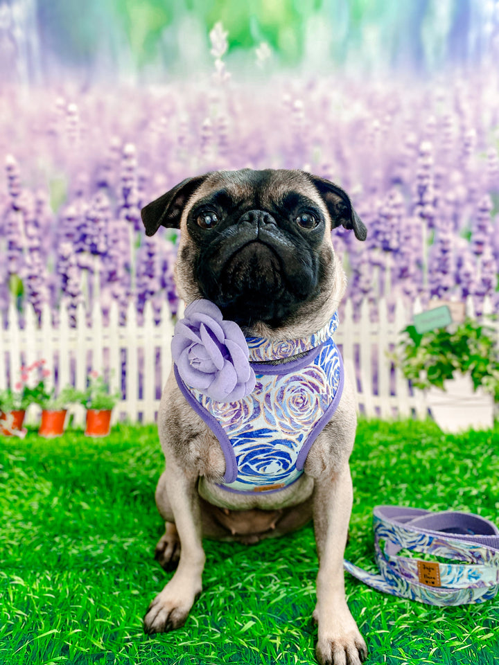 Purple glitter rose dog flower collar leash set