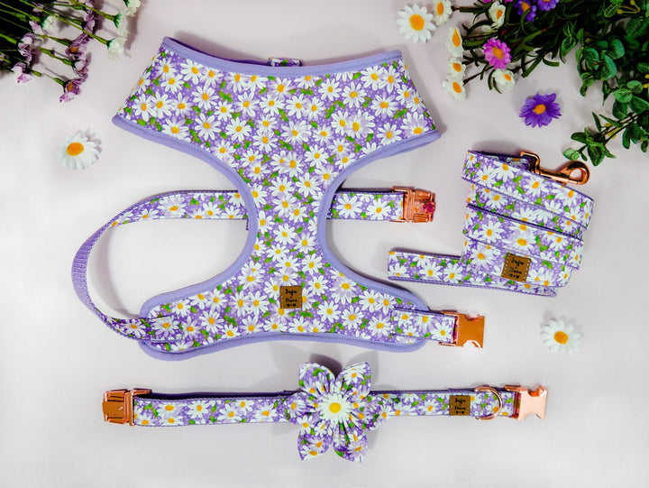 Purple daisy flower dog harness/ girl floral dog harness/ small puppy harness/ designer spring dog harness/ medium female dog harness