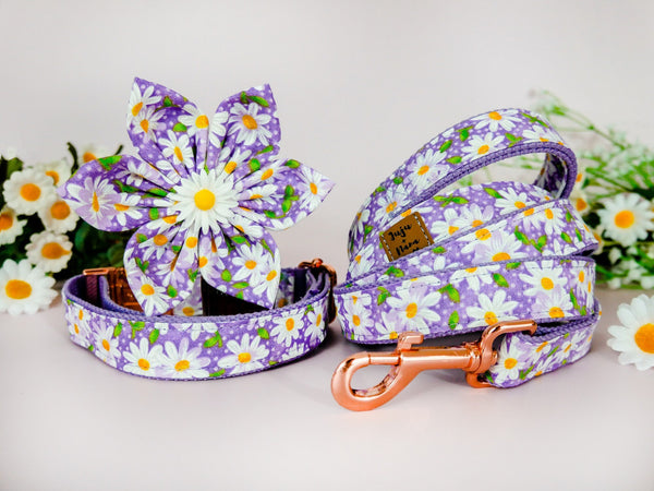 Purple Daisy dog flower collar leash set