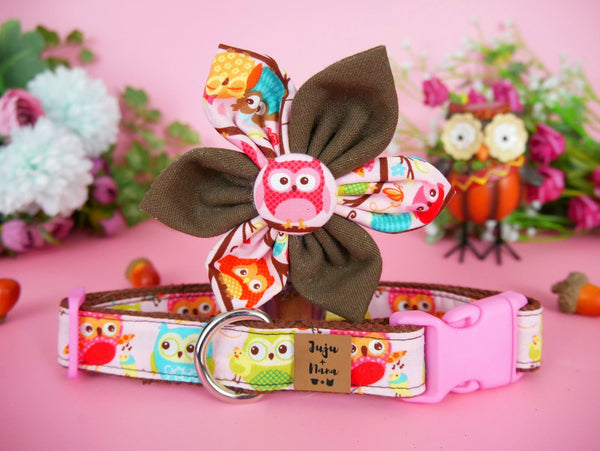 Owls dog collar with flower