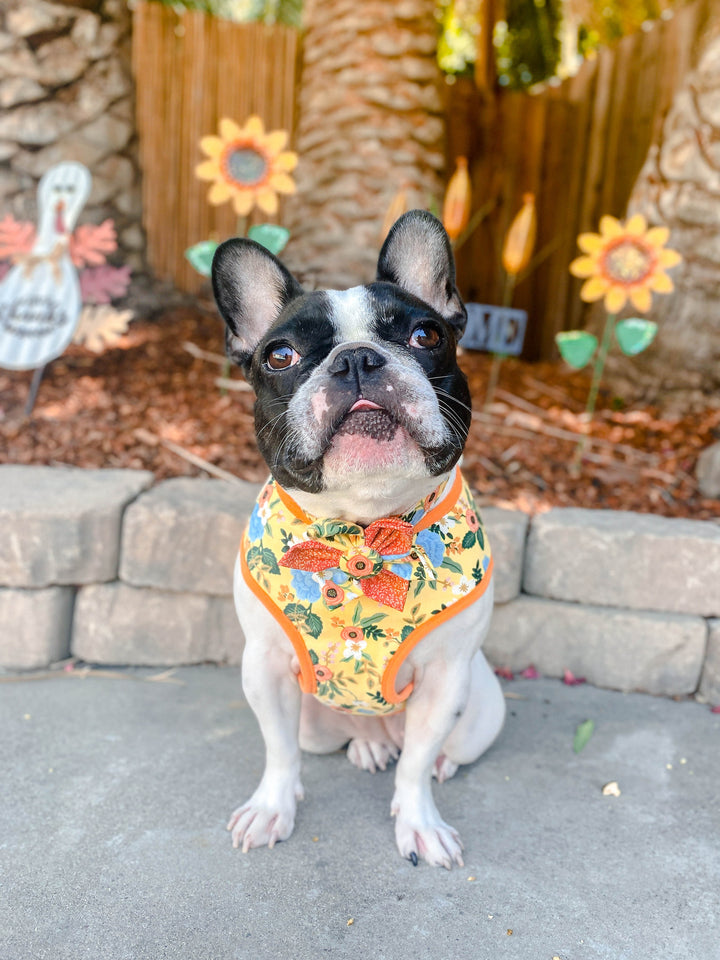 Floral Girl dog harness leash set/ Rifle paper co dog harness vest/ yellow flower dog harness and lead/ Custom Puppy fabric dog harness