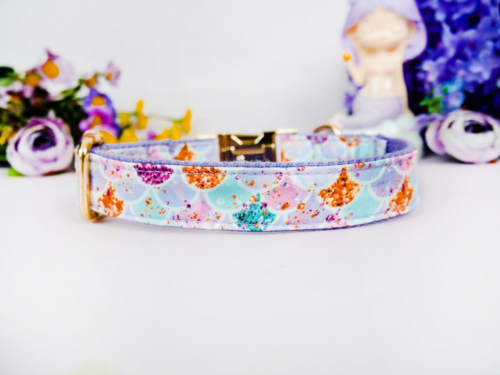 Personalized engraving buckle dog collar/ mermaid scales dog collar