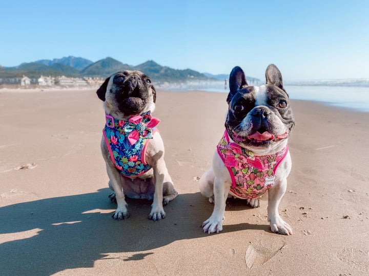 Cactus Succulent dog harness vest/ girl boho dog harness/ pink green dog harness/ floral custom dog harness/ small medium puppy dog harness