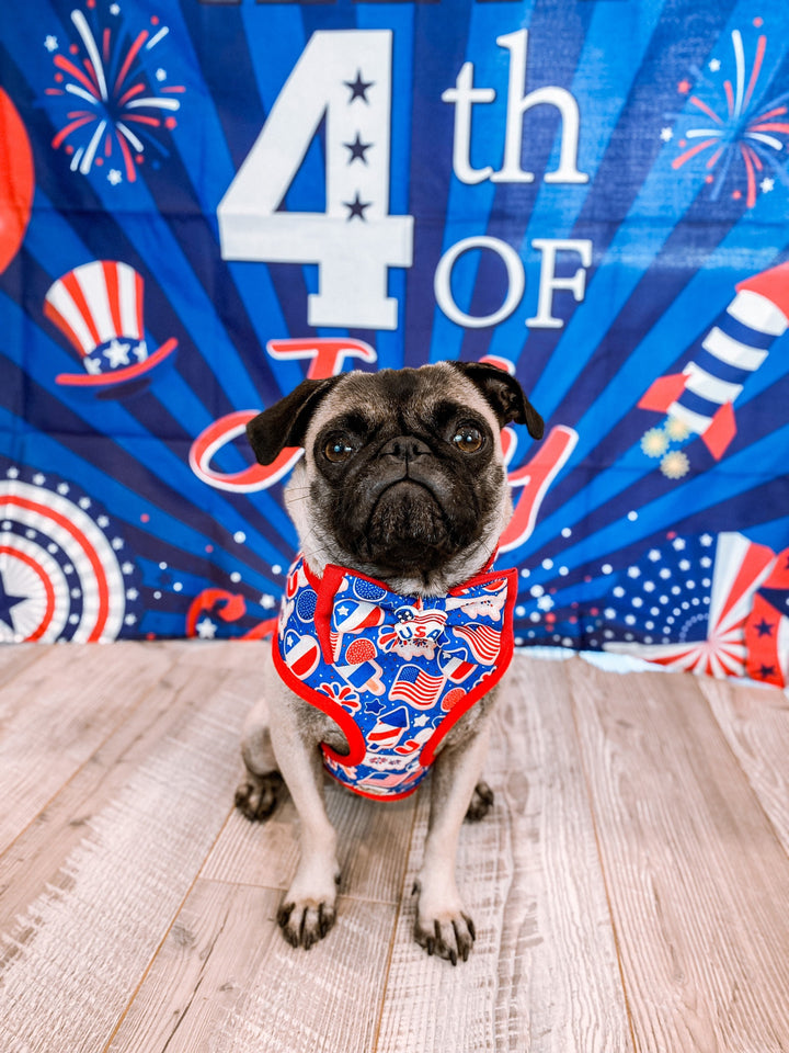 Patriotic dog collar bow tie/ Boy dog collar/ star memorial day collar/ 4th of July dog collar/ Small large dog collar/ american flag collar