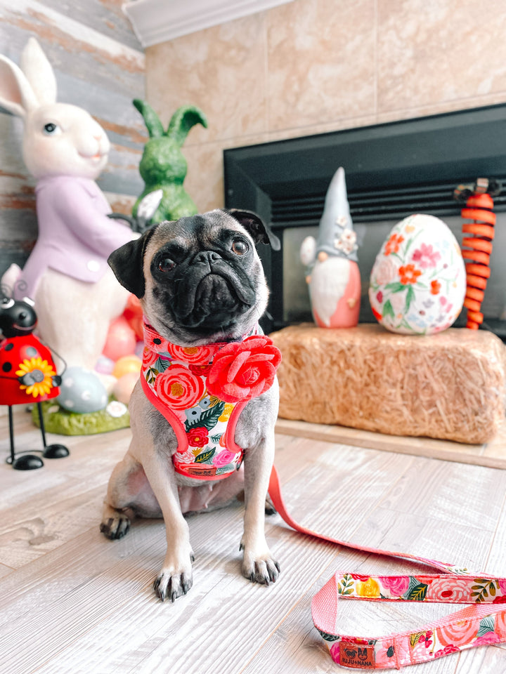 floral girl dog harness/ Rifle paper co/ custom flower harness vest/ Small medium dog harness/  summer puppy harness/ soft  boho harness