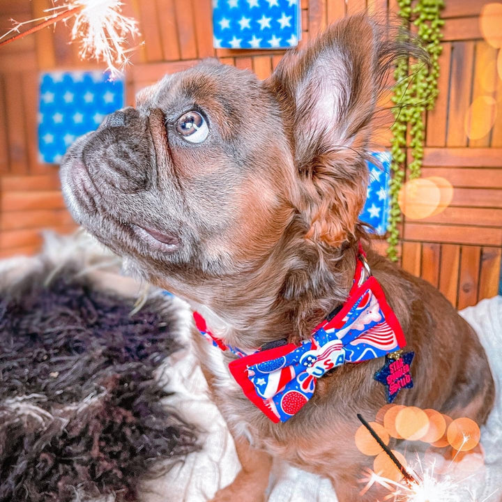 Patriotic dog collar bow tie/ Boy dog collar/ star memorial day collar/ 4th of July dog collar/ Small large dog collar/ american flag collar