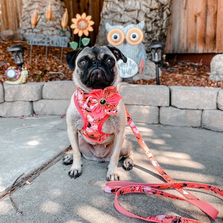 Girl floral dog harness leash set/ flower dog harness vest