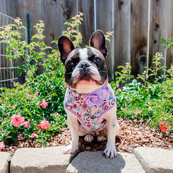 Purple floral dog harness leash set/ girl rose flower dog harness and lead/ female boho dog harness vest/ small puppy medium dog harness