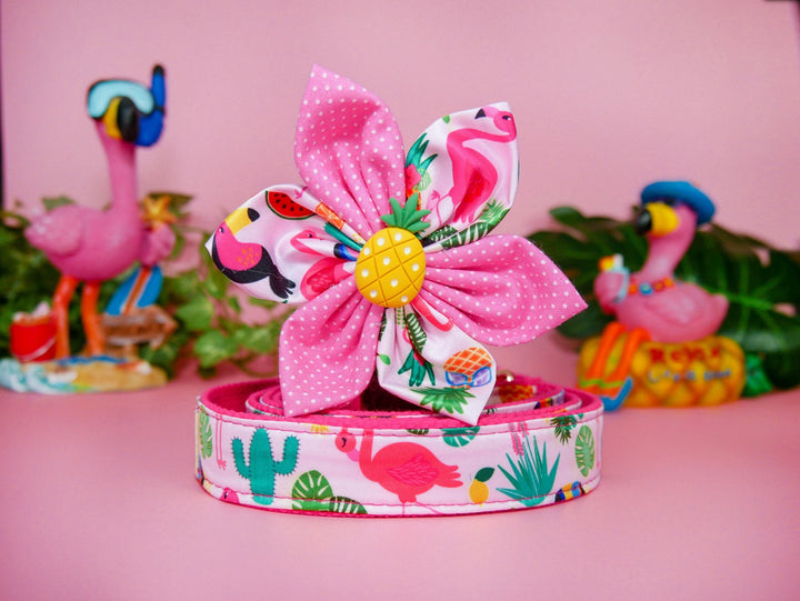 Tropical Dog Flower collar set - Toucan, pineapple, and flamingo