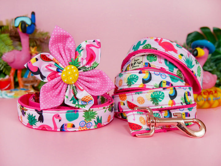 Tropical Dog Flower collar set - Toucan, pineapple, and flamingo