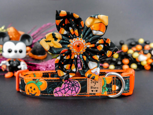 Dog collar with flower - Halloween Spooky cookie