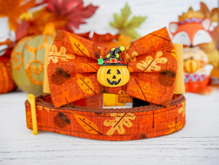 Thanksgiving acorn dog collar bow tie