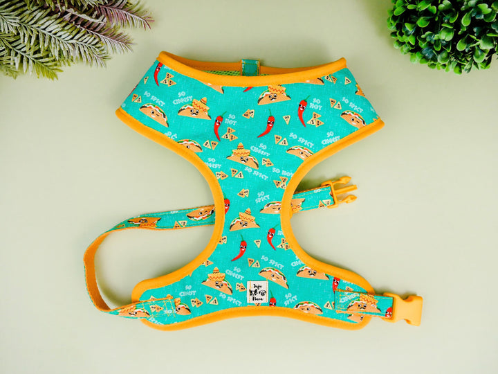 Taco food dog harness/ Boy dog harness vest/ mint green dog harness/ Girl dog harness/ small medium dog harness/ cute puppy dog harness