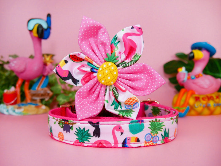 Tropical Dog Flower collar set - Toucan, pineapple, and flamingo