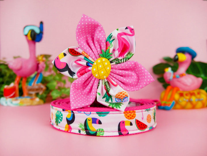 Tropical Dog Flower collar set - Toucan, pineapple, and flamingo