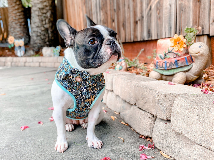 Girl floral dog harness/ custom boy dog harness vest/ aztec tribal dog harness/ small puppy harness/ Rifle Paper menagerie tapestry dog