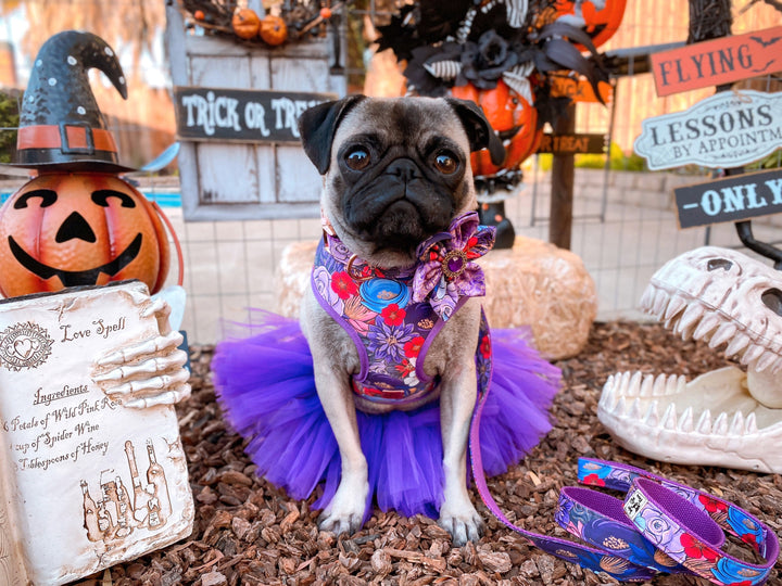 Purple floral dog harness leash set/ Halloween harness and lead/ flower dog harness vest/ custom female dog harness/ fall autumn dog harness