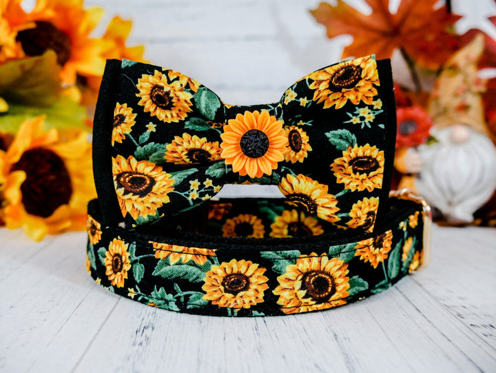 Dog collar with bow tie - Sunflowers