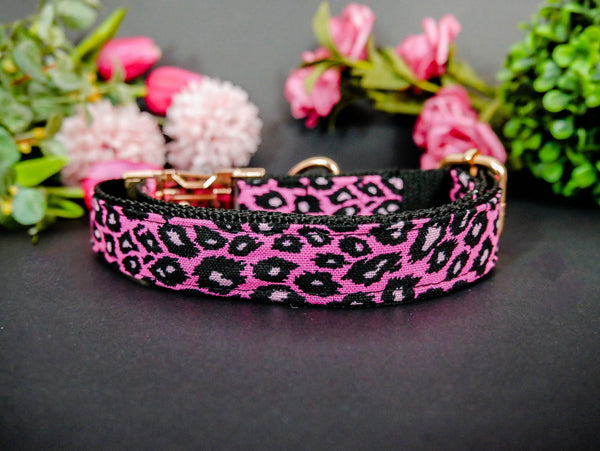 Designer dog collars – Tagged girl dog collar – Juju + Nana