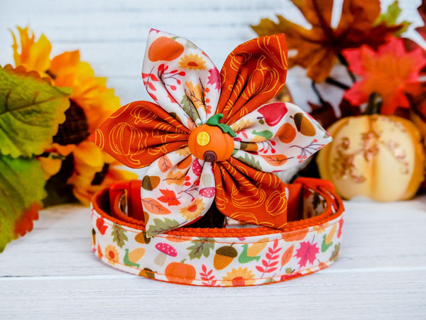 Thanksgiving dog collar with flower - Harvest
