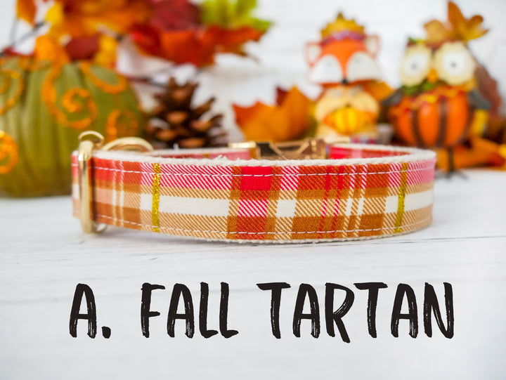 Thanksgiving/fall dog collar