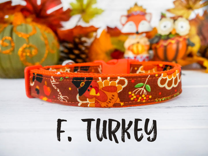 Thanksgiving/fall dog collar