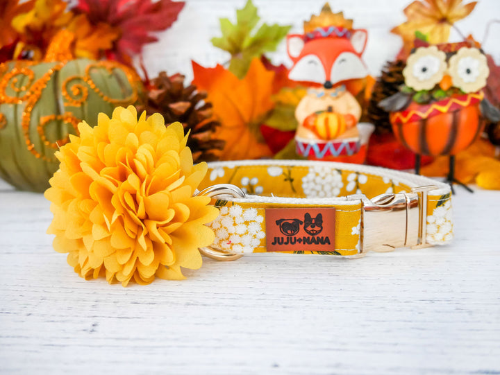 Dog collar with flower - Yellow mustard floral