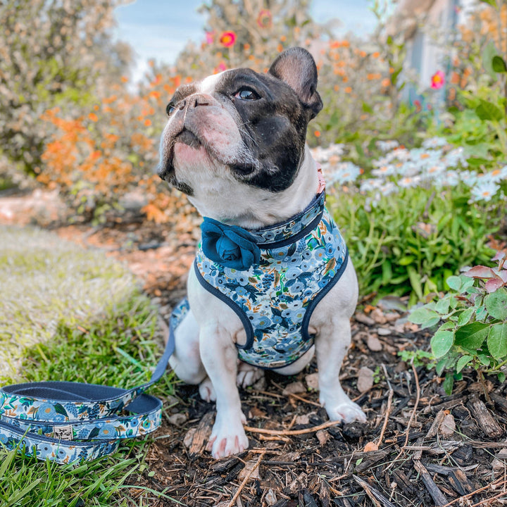 Girl floral dog harness vest/ rifle paper co/ flower white harness/ blue fabric harness/ small puppy medium dog harness/ designer harness