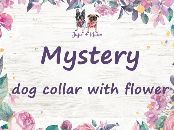Mystery dog collar with flower