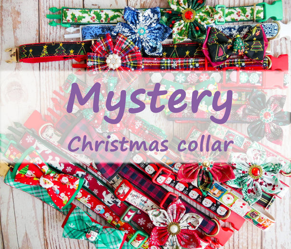 Mystery Christmas dog collar flower / bow tie