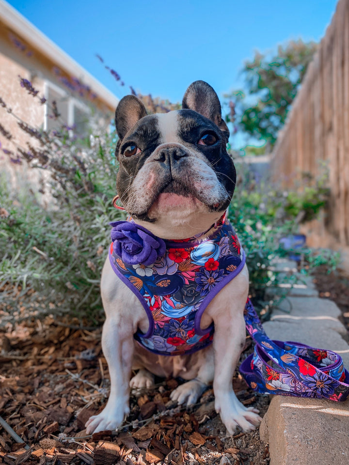 Purple floral dog harness leash set/ Halloween harness and lead/ flower dog harness vest/ custom female dog harness/ fall autumn dog harness