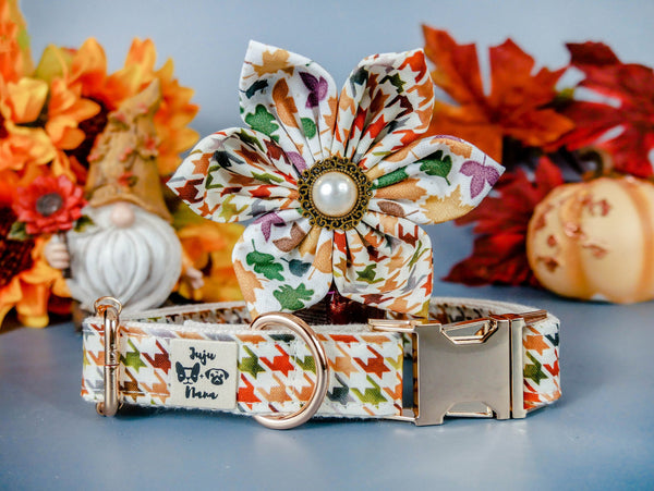 Dog collar with flower - White fall hounds tooth check