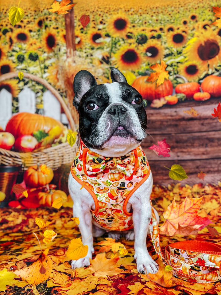 Thanksgiving dog harness set - watercolor harvest