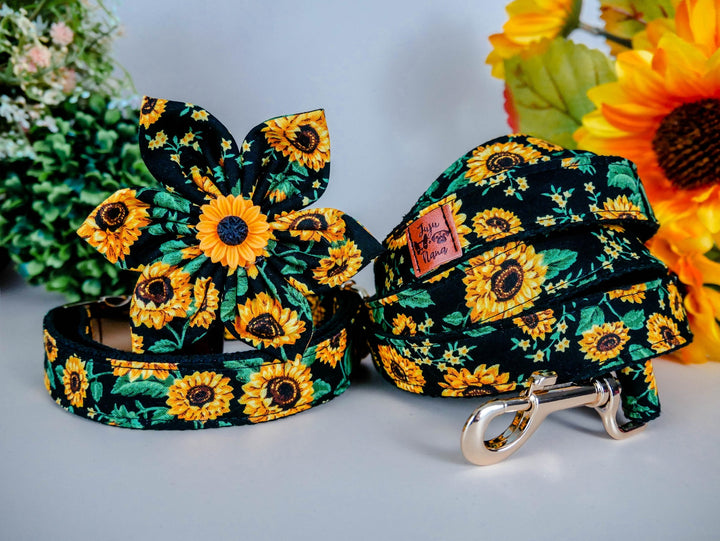 Dog collar with flower - Sunflowers