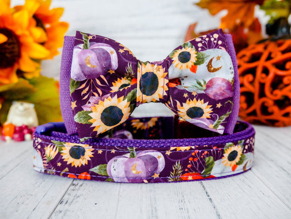 Dog collar with bow tie - Sunflower and Pumpkin