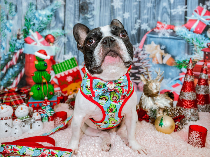 Christmas dog collar bow tie - Christmas Avocado