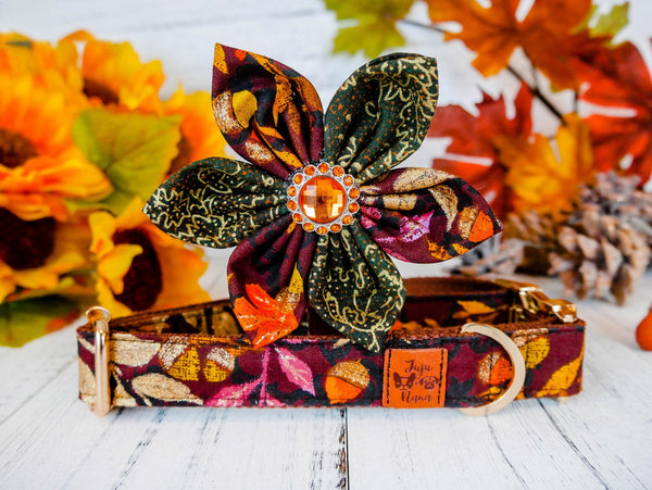 Thanksgiving dog collar with flower - glitter leaves