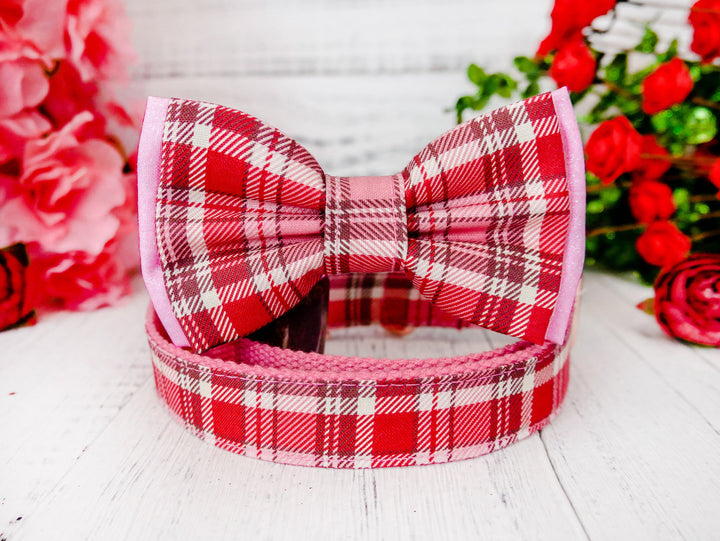 valentine dog collar with bow tie - Tartan