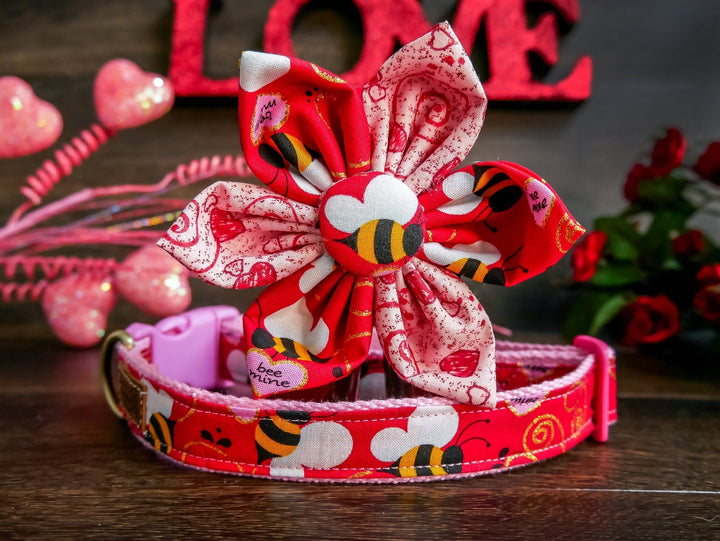 valentine dog collar with bow tie - bee...mine