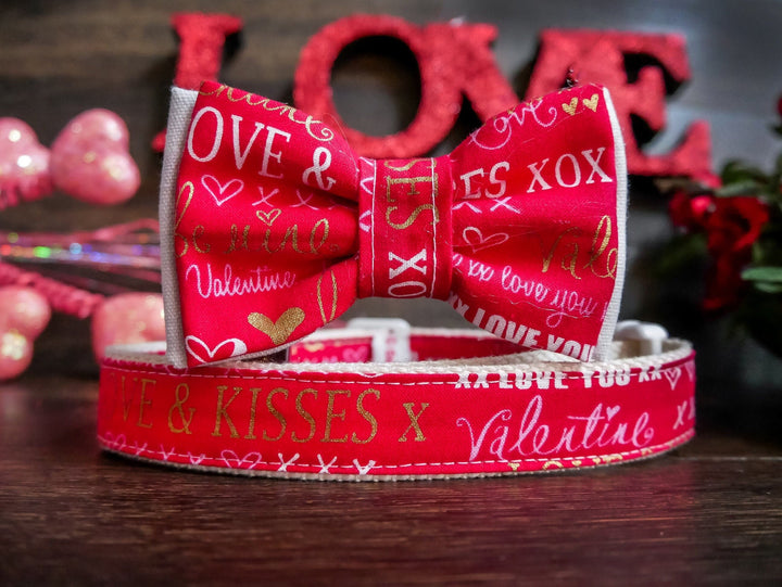 valentine dog collar with bow tie - Love letters