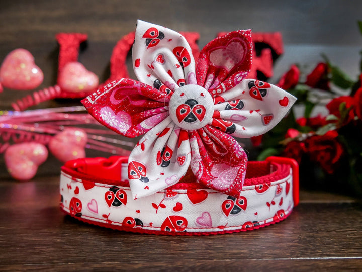 valentine dog collar with bow tie - Ladybug and hearts