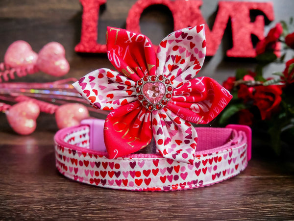valentine dog collar with bow tie - many hearts