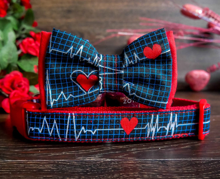 Valentine dog collar with bow tie - Heart beat in Blue