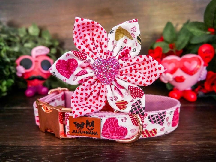 valentine dog collar with bow tie - Cookie heart